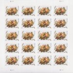 2017 Celebration Corsage Two Ounce Forever First Class Postage Stamps