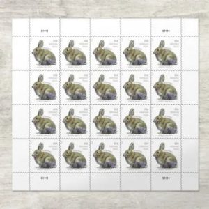 2021 Brush Rabbit Forever First Class Postage Stamps