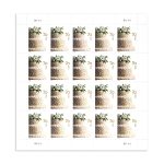 2014 Wedding Series: Wedding Cake Forever First Class Postage Stamps (Value Stamp Not Forever)