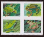 2019 Frogs Forever First Class Postage Stamps